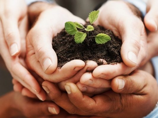 مدیریت شرکت حسابداری مالیاتی، خدمات حسابداری صنعتی، موسسه حسابداری، شرکت حسابداری، لیست موسسات حسابداری، خدمات حسابداری و حسابرسی، اسامی شرکت های حسابداری در تهران، شرکت حسابداری در کرج، انجام خدمات حسابداری